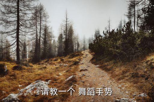 正反小舞花舞蹈视频,舞蹈小舞花慢动作教程