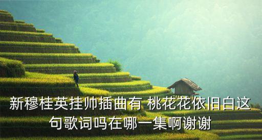 新穆桂英挂帅插曲有 桃花花依旧白这句歌词吗在哪一集啊谢谢