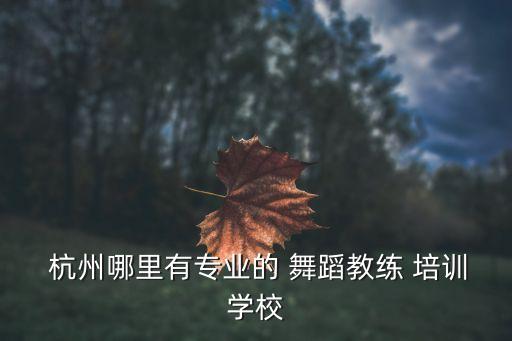  杭州哪里有专业的 舞蹈教练 培训学校