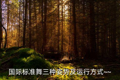 国际标准舞三种姿势及运行方式~~
