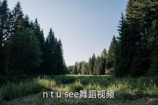can t u see舞蹈视频