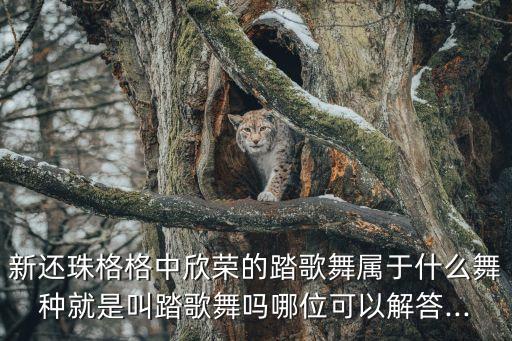 踏鼓舞蹈视频,飞天乐鼓舞蹈视频完整版