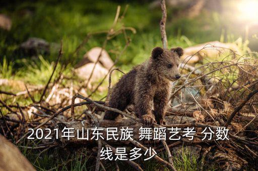 2021年山东民族 舞蹈艺考 分数线是多少