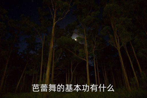 芭蕾舞的基本功有什么