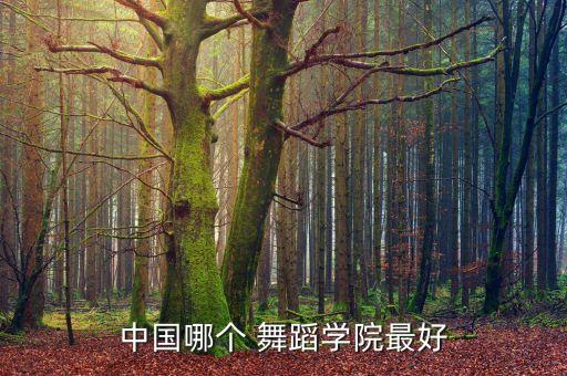 中国哪个 舞蹈学院最好