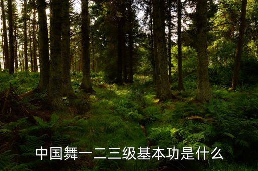 中国舞一二三级基本功是什么