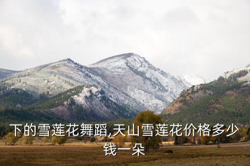 天山下的雪莲花舞蹈,天山雪莲花价格多少钱一朵