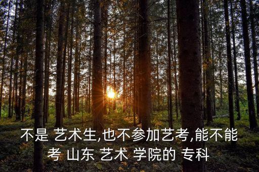 不是 艺术生,也不参加艺考,能不能考 山东 艺术 学院的 专科