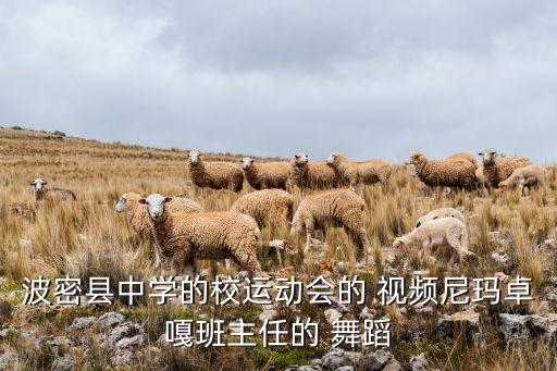 波密县中学的校运动会的 视频尼玛卓嘎班主任的 舞蹈