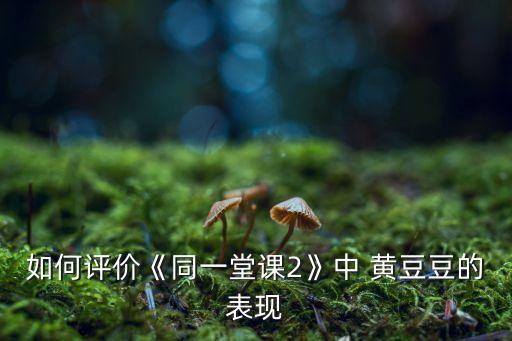 如何评价《同一堂课2》中 黄豆豆的表现