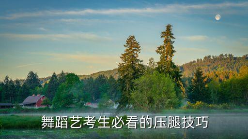 在舞蹈中腿怎么训练,舞蹈压旁腿的训练目的