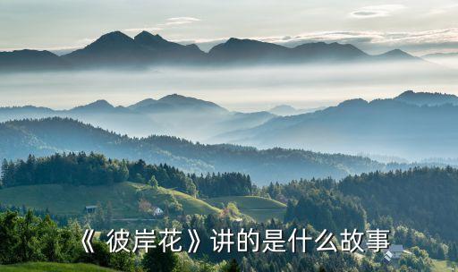 《 彼岸花》讲的是什么故事