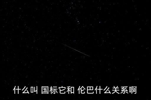 什么叫 国标它和 伦巴什么关系啊