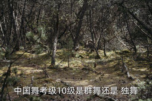 中国舞考级10级是群舞还是 独舞