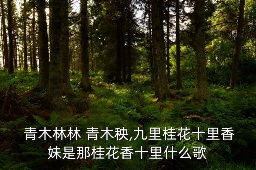  青木林林 青木秧,九里桂花十里香妹是那桂花香十里什么歌