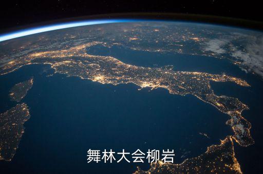 舞林大会柳岩