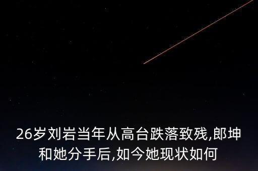 26岁刘岩当年从高台跌落致残,郎坤和她分手后,如今她现状如何