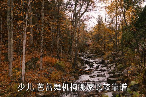 儿童芭蕾舞蹈培训学校,合肥儿童舞蹈培训学校排名榜