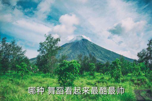 哪种 舞蹈看起来最酷最帅