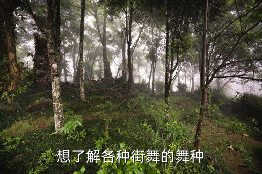 外国舞蹈节目poping,外国双人舞蹈视频