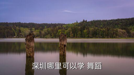 深圳哪里可以学 舞蹈