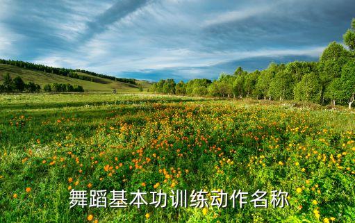  舞蹈基本功训练动作名称