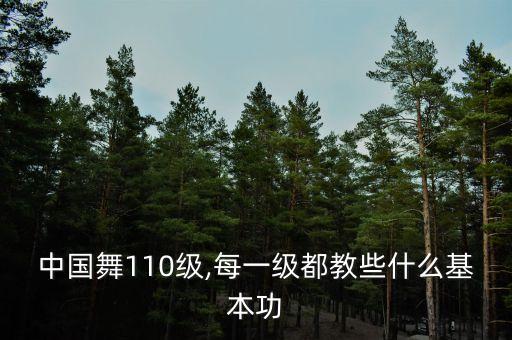 中国舞110级,每一级都教些什么基本功