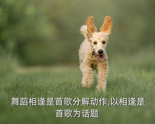 光阴的舞蹈,光阴舞蹈考级视频一级教案