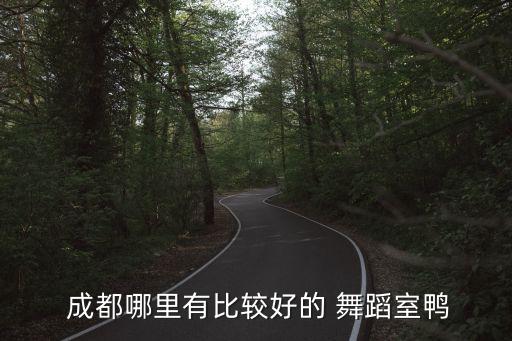  成都哪里有比较好的 舞蹈室鸭
