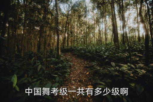 舞蹈七级考试内容,舞蹈教师资格证考试内容是什么