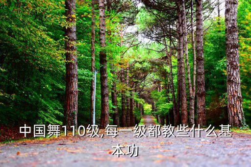 中国舞110级,每一级都教些什么基本功