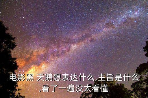 电影黑 天鹅想表达什么,主旨是什么,看了一遍没太看懂