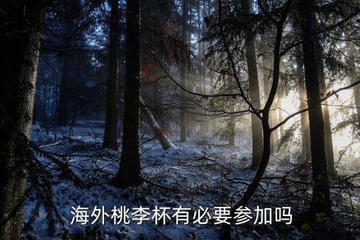  海外桃李杯有必要参加吗