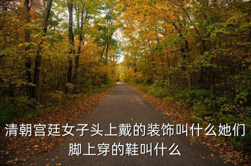 清朝宫廷女子头上戴的装饰叫什么她们脚上穿的鞋叫什么