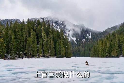 上官喜爱做什么的