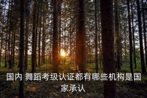 国内 舞蹈考级认证都有哪些机构是国家承认