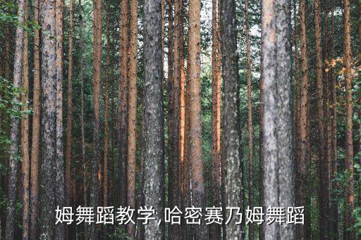 赛乃姆舞蹈教学,哈密赛乃姆舞蹈