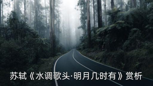 苏轼《水调歌头·明月几时有》赏析