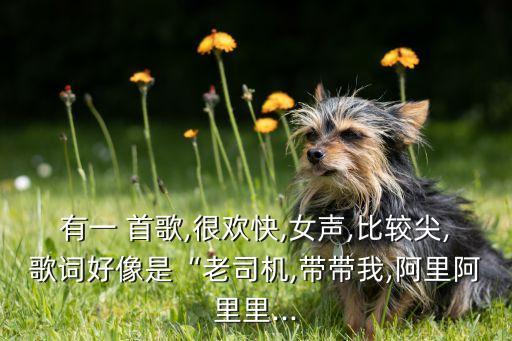 有一 首歌,很欢快,女声,比较尖,歌词好像是“老司机,带带我,阿里阿里里...