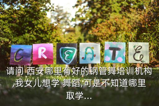 请问 西安哪里有好的钢管舞培训机构,我女儿想学 舞蹈,可是不知道哪里取学...