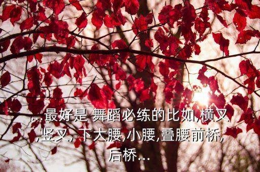 ...最好是 舞蹈必练的比如,横叉,竖叉, 下大腰,小腰,叠腰前桥,后桥...