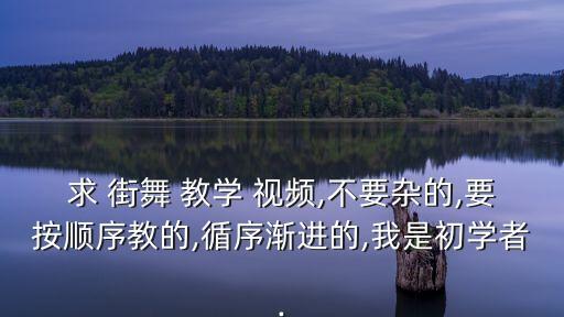 求 街舞 教学 视频,不要杂的,要按顺序教的,循序渐进的,我是初学者.