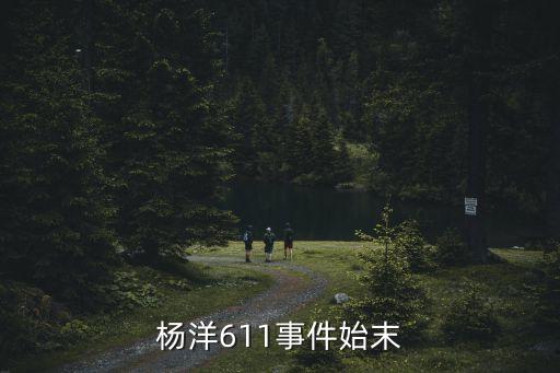 杨洋611事件始末