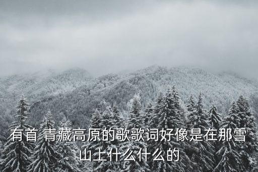 藏族组合舞蹈青藏高原,藏族颤动律组合舞蹈笔记