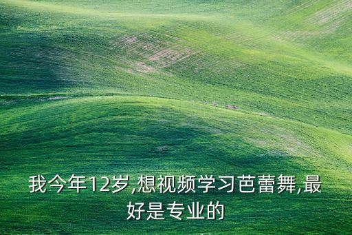 我今年12岁,想视频学习芭蕾舞,最好是专业的