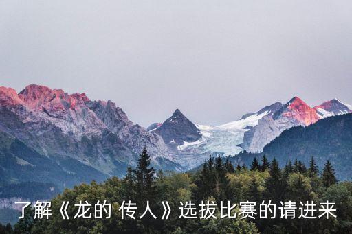 了解《龙的 传人》选拔比赛的请进来