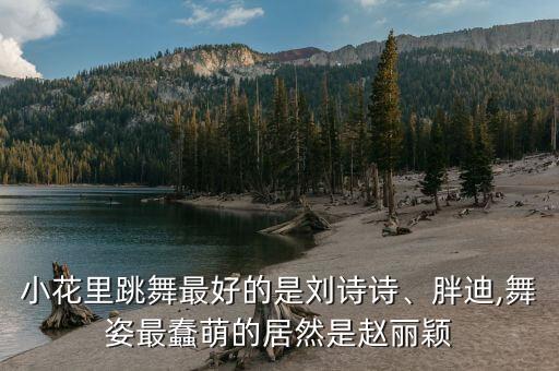 小花里跳舞最好的是刘诗诗、胖迪,舞姿最蠢萌的居然是赵丽颖