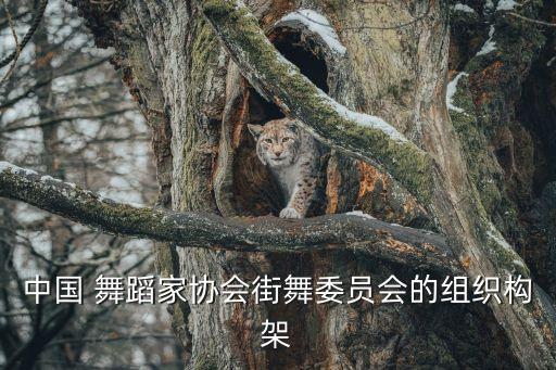 马铭阳舞蹈