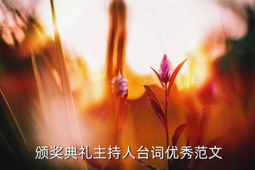 颁奖晚会舞蹈大赛,中国音乐电视大赛颁奖晚会
