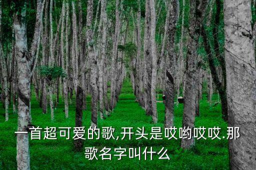 哎呀对不起 视频舞蹈,哎呀舞蹈视频完整版教学